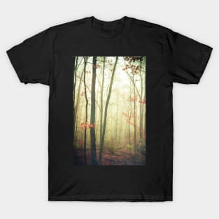 The Woods Are Lovely Dark and Deep T-Shirt